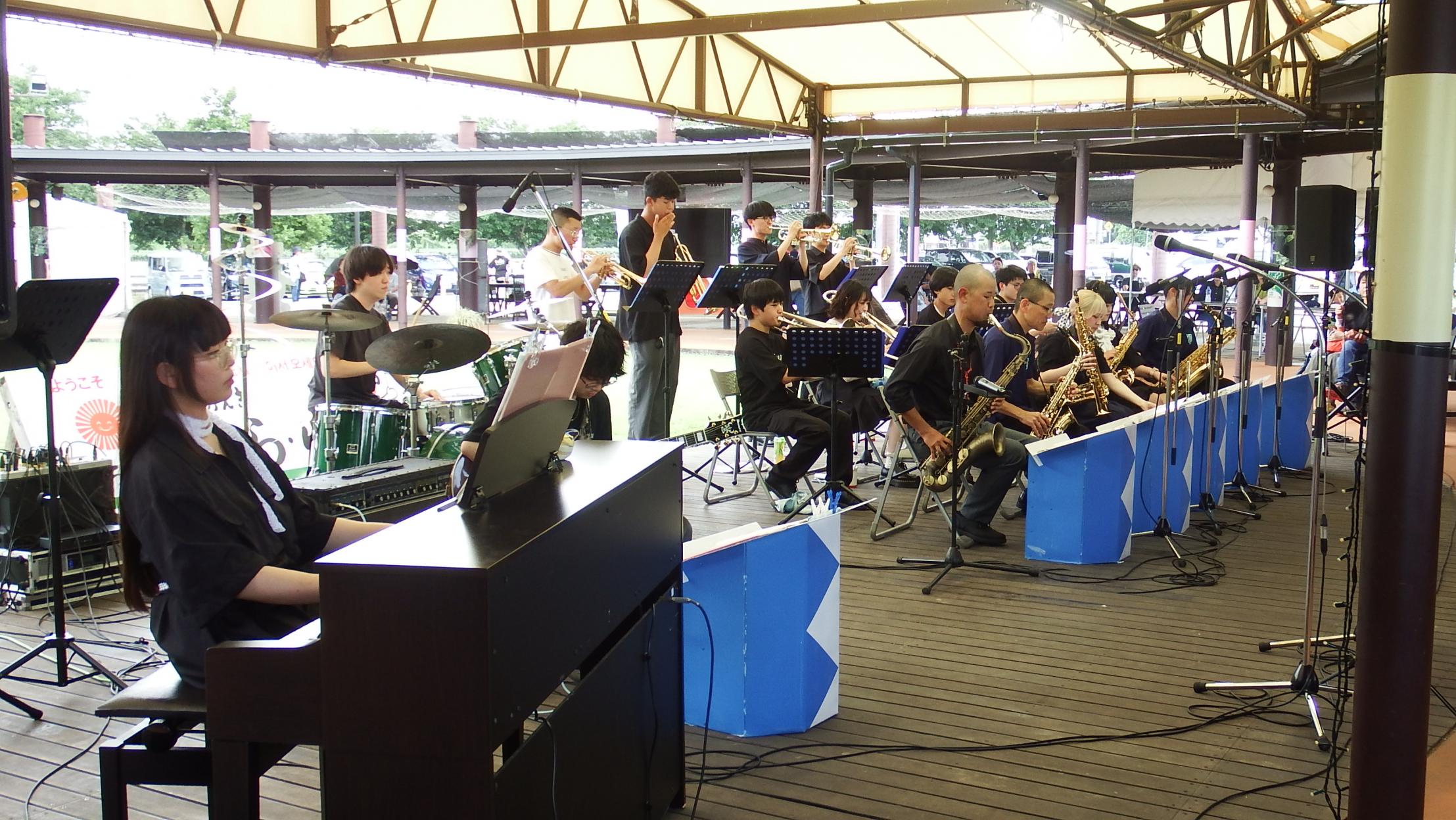 チリングキャッツ写真1