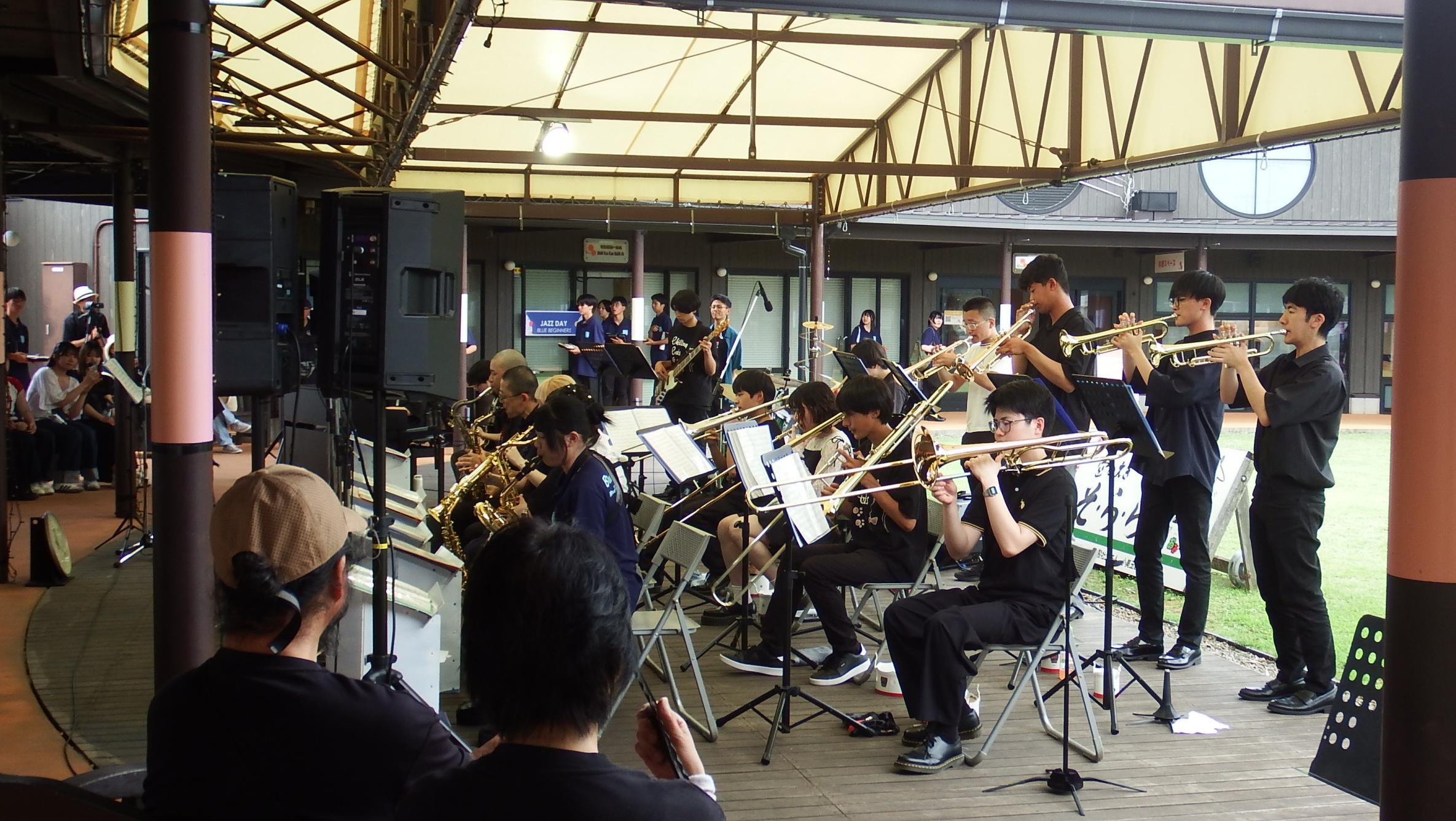 チリングキャッツ写真2