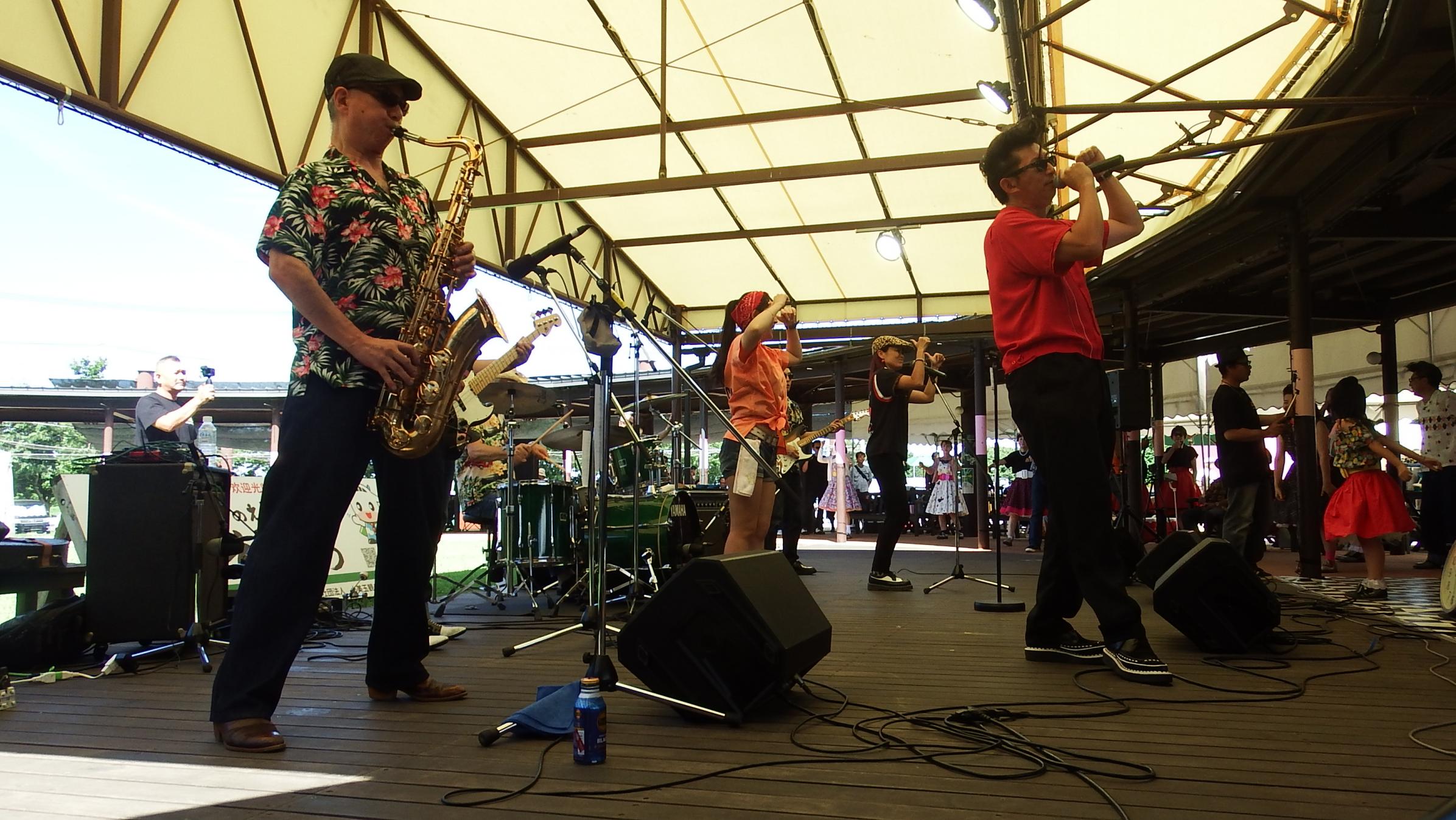 ハリーウッドペッカー写真1