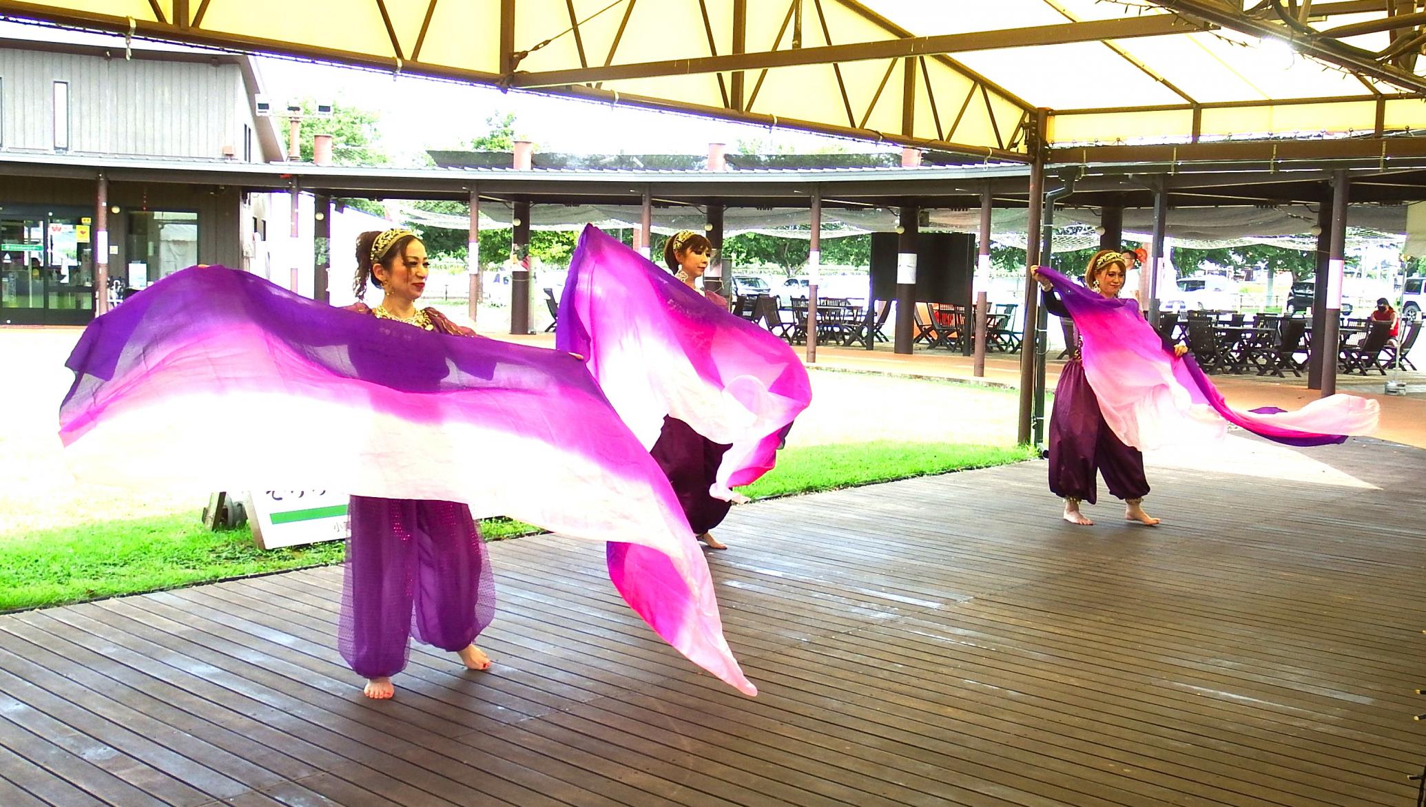 ★アルテシスDSCF7418