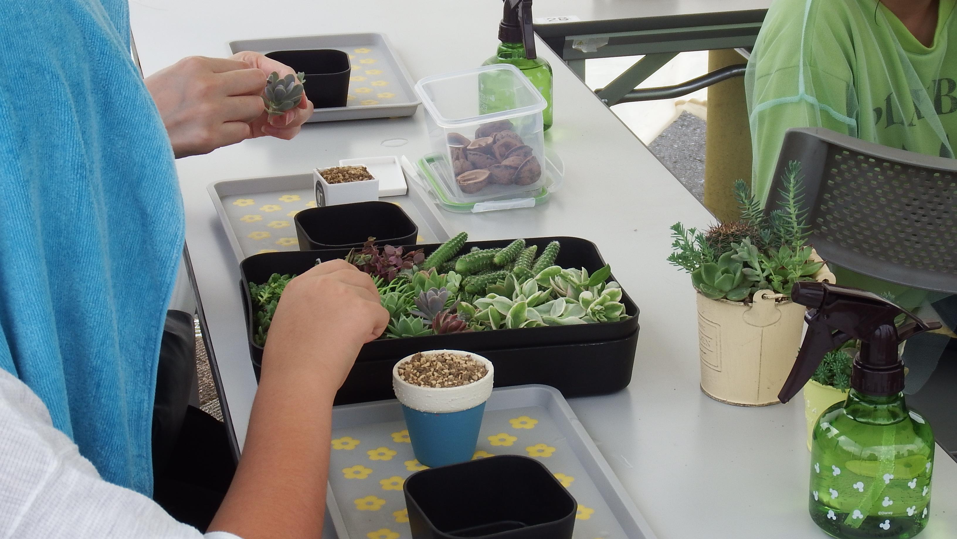 サキュレントハウス写真