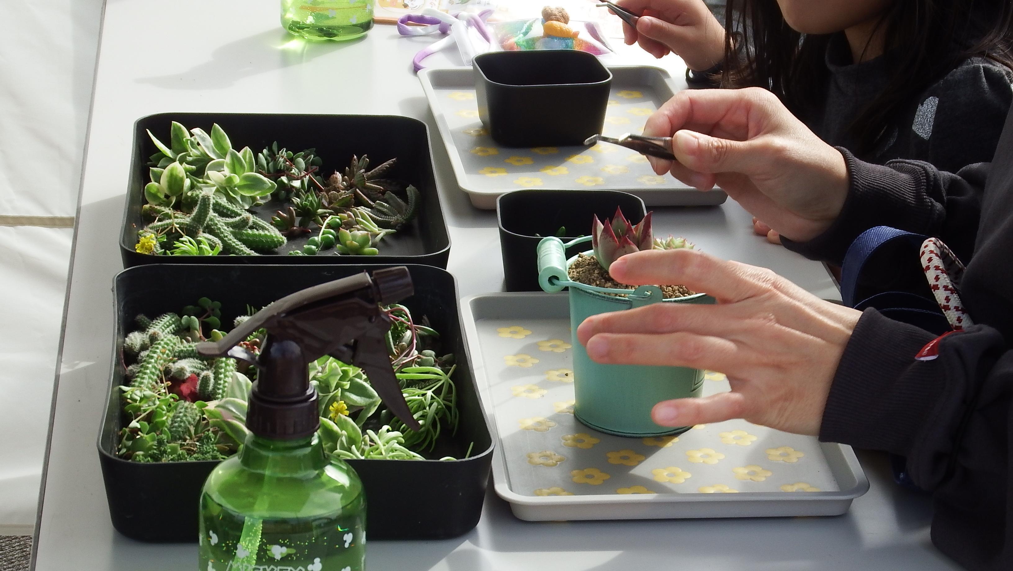 サキュレントハウス様写真