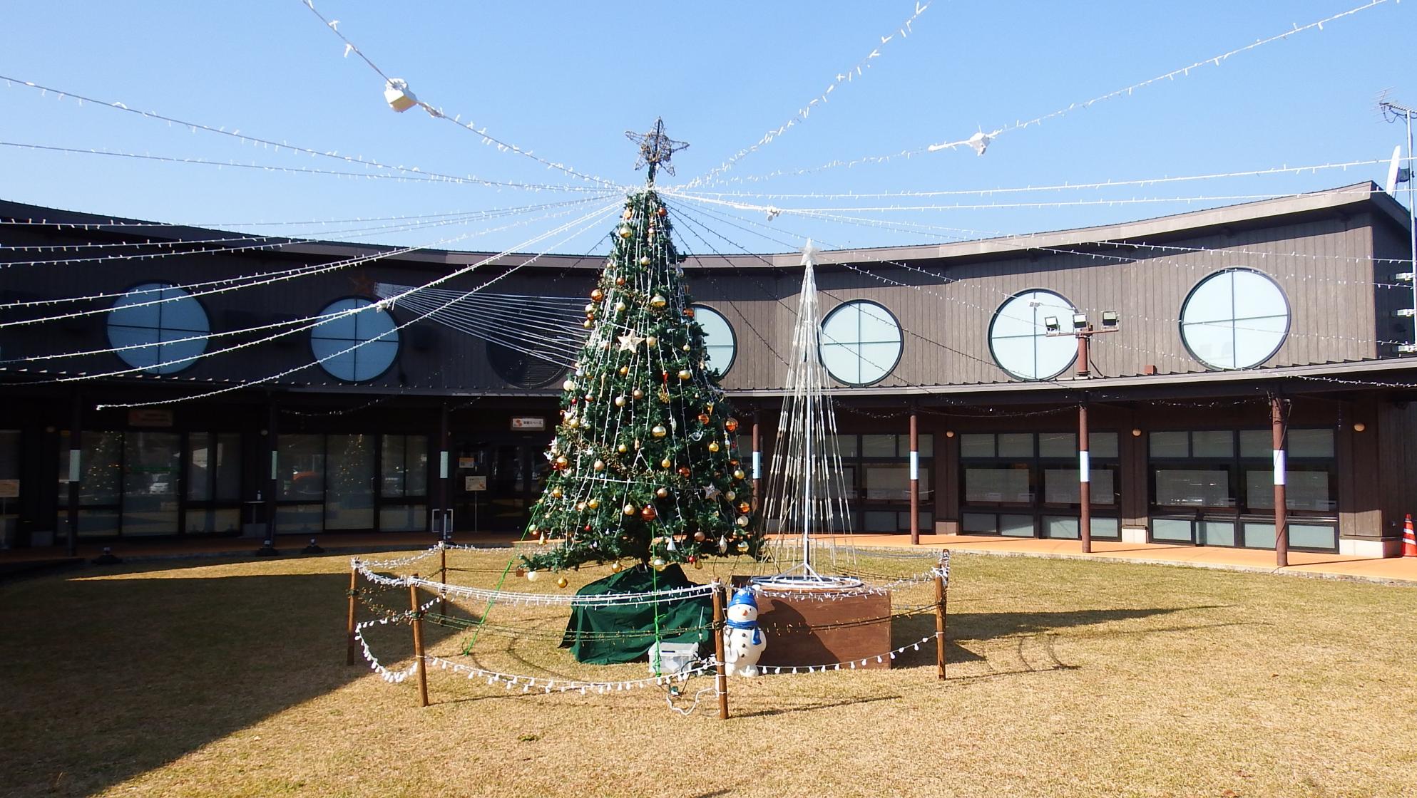 クリスマスツリー写真