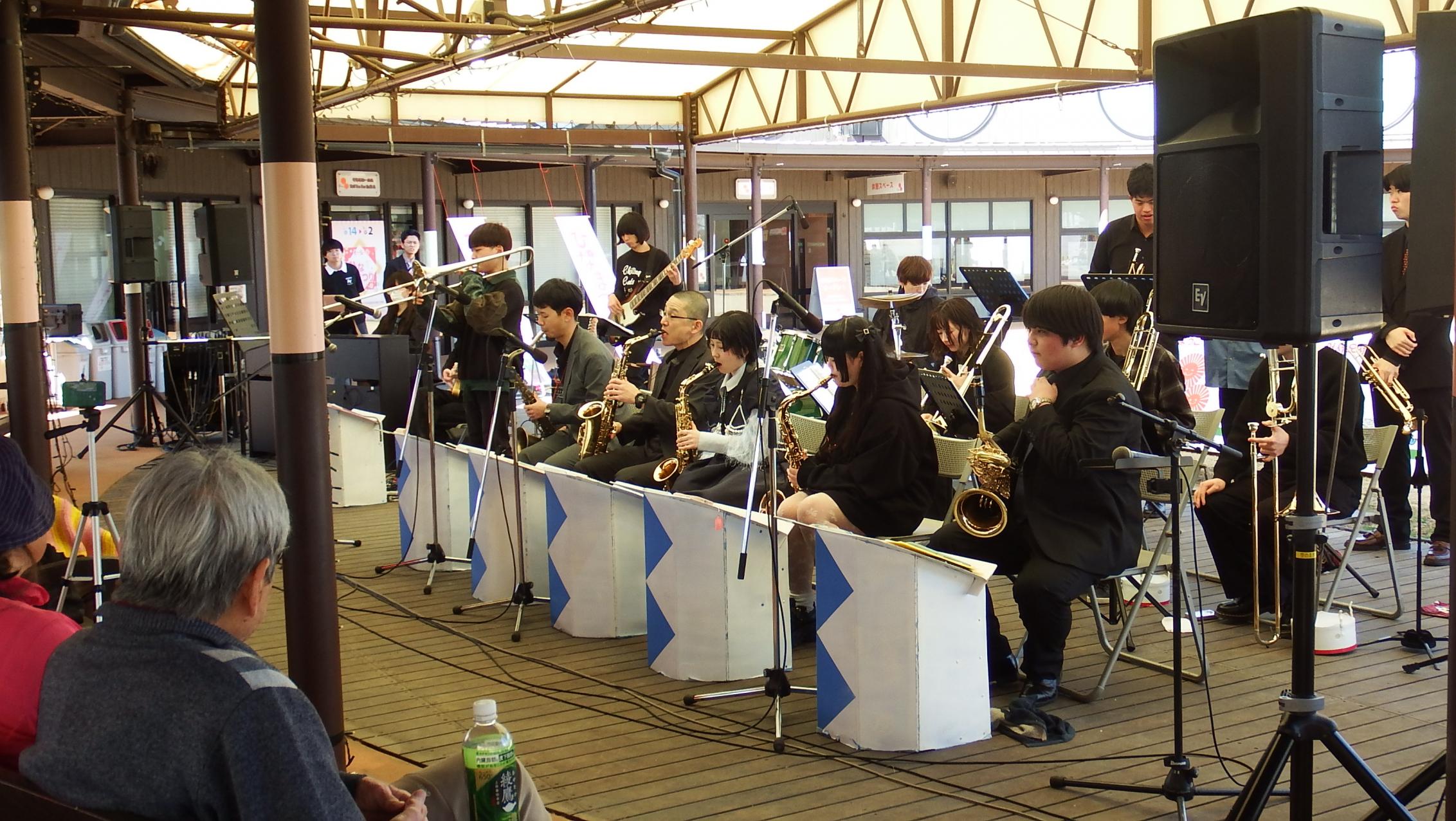 チリングキャッツ写真2