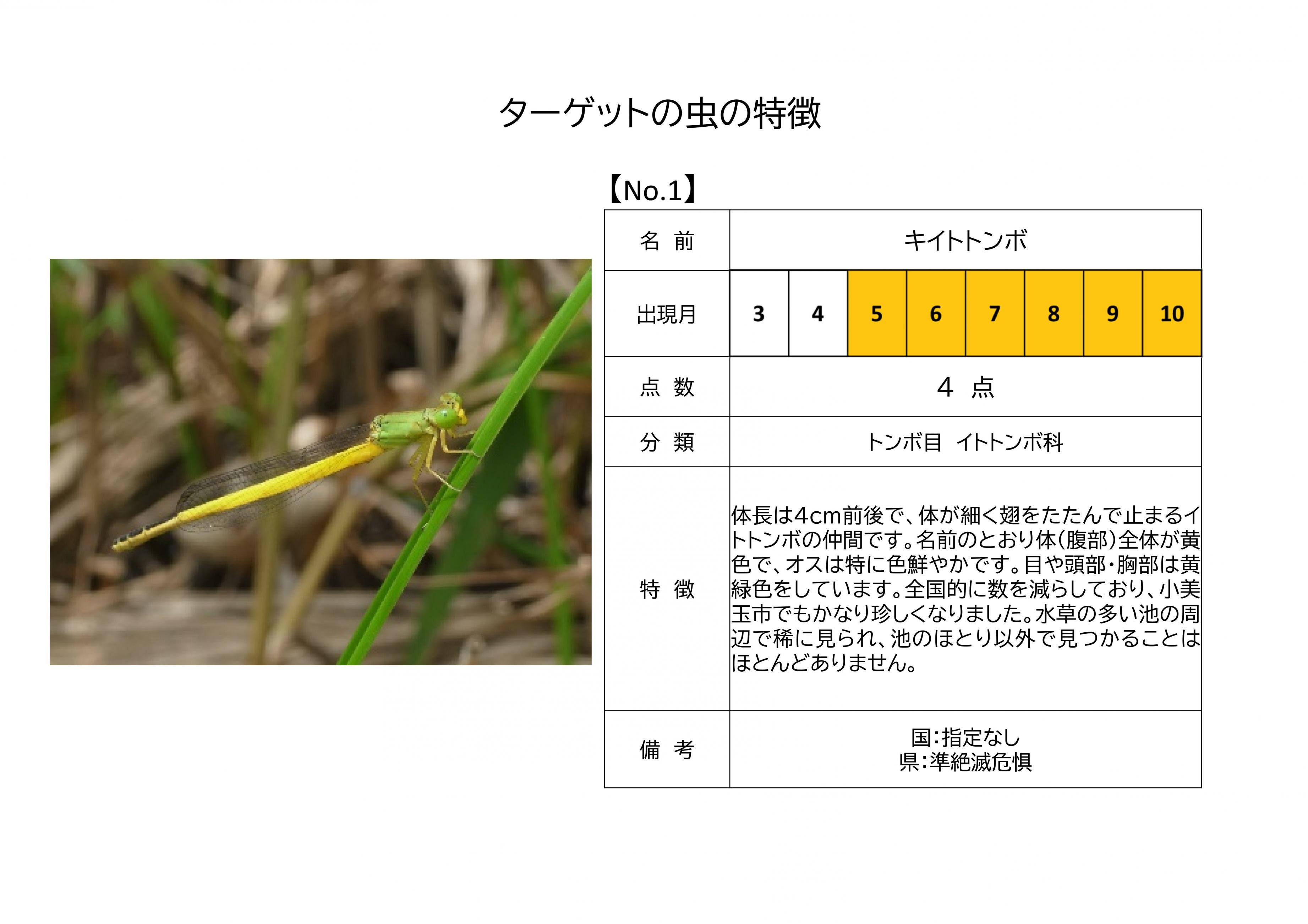 1.キイトトンボ