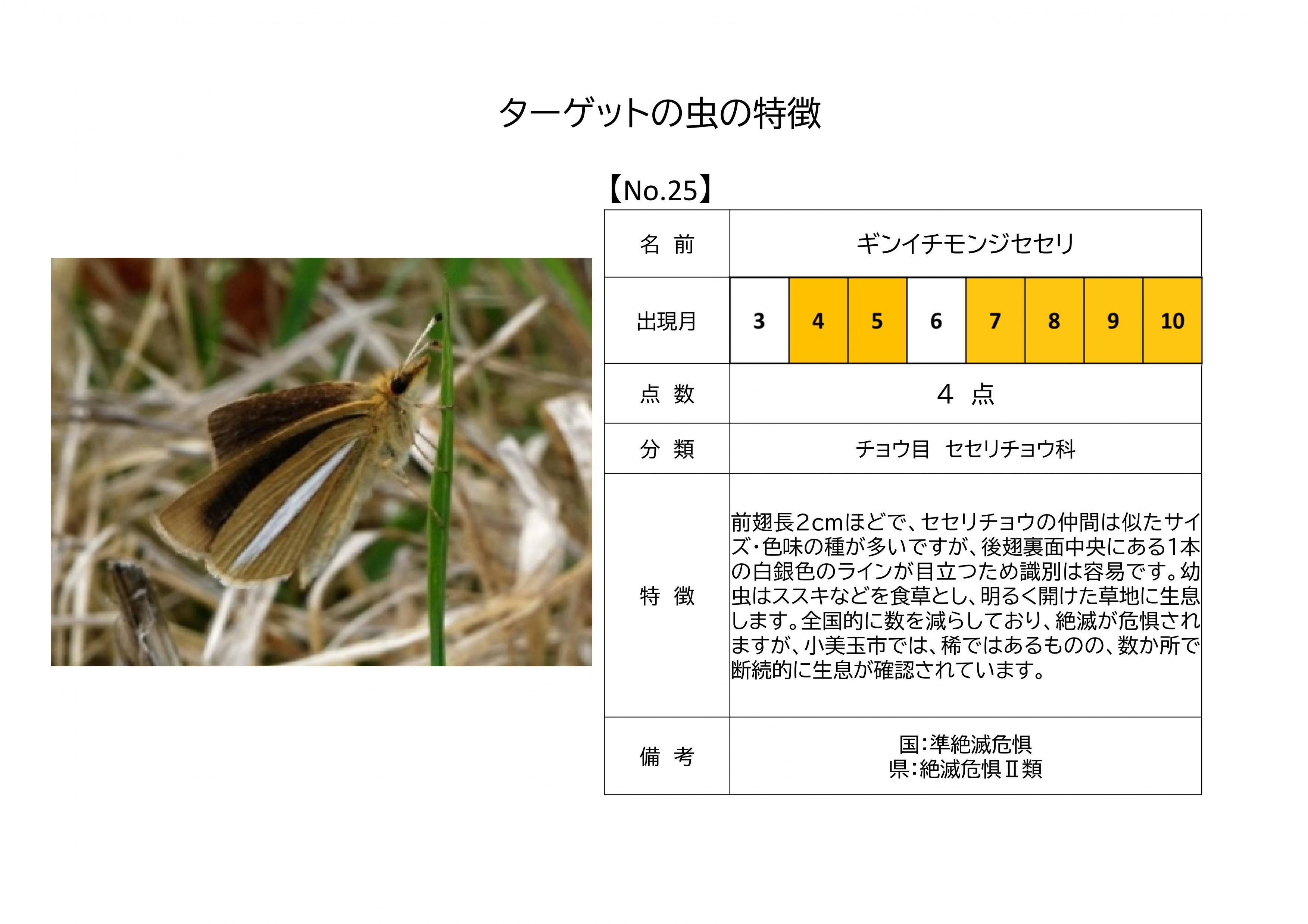 25.ギンイチモンジセセリ