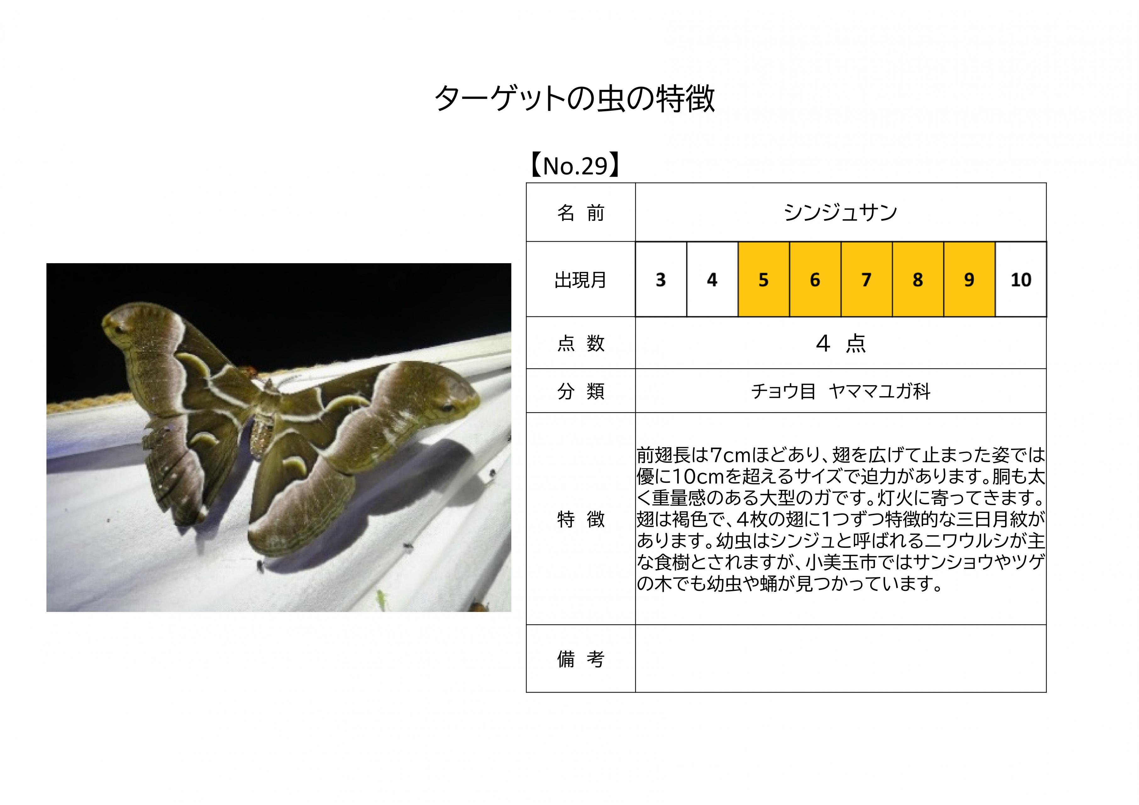 29.シンジュサン